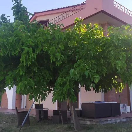 Mulberry Tree *