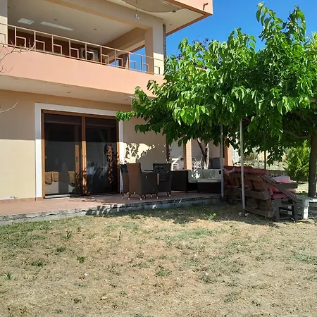 Mulberry Tree *