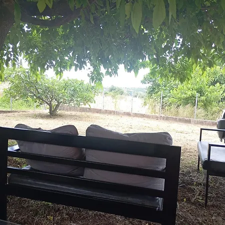 Mulberry Tree 펜션