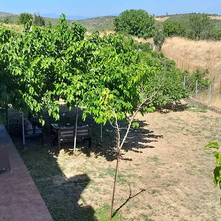 Mulberry Tree Casa vacanze