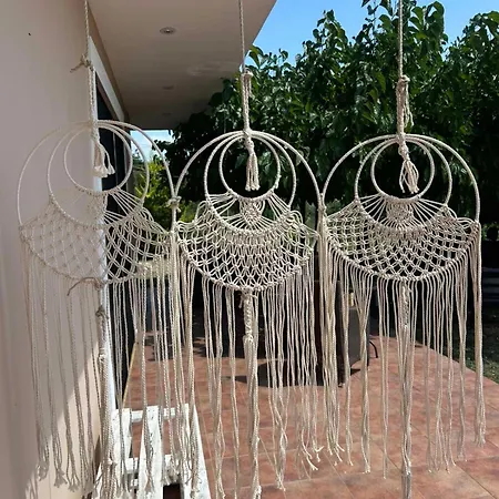 Mulberry Tree Holiday home *